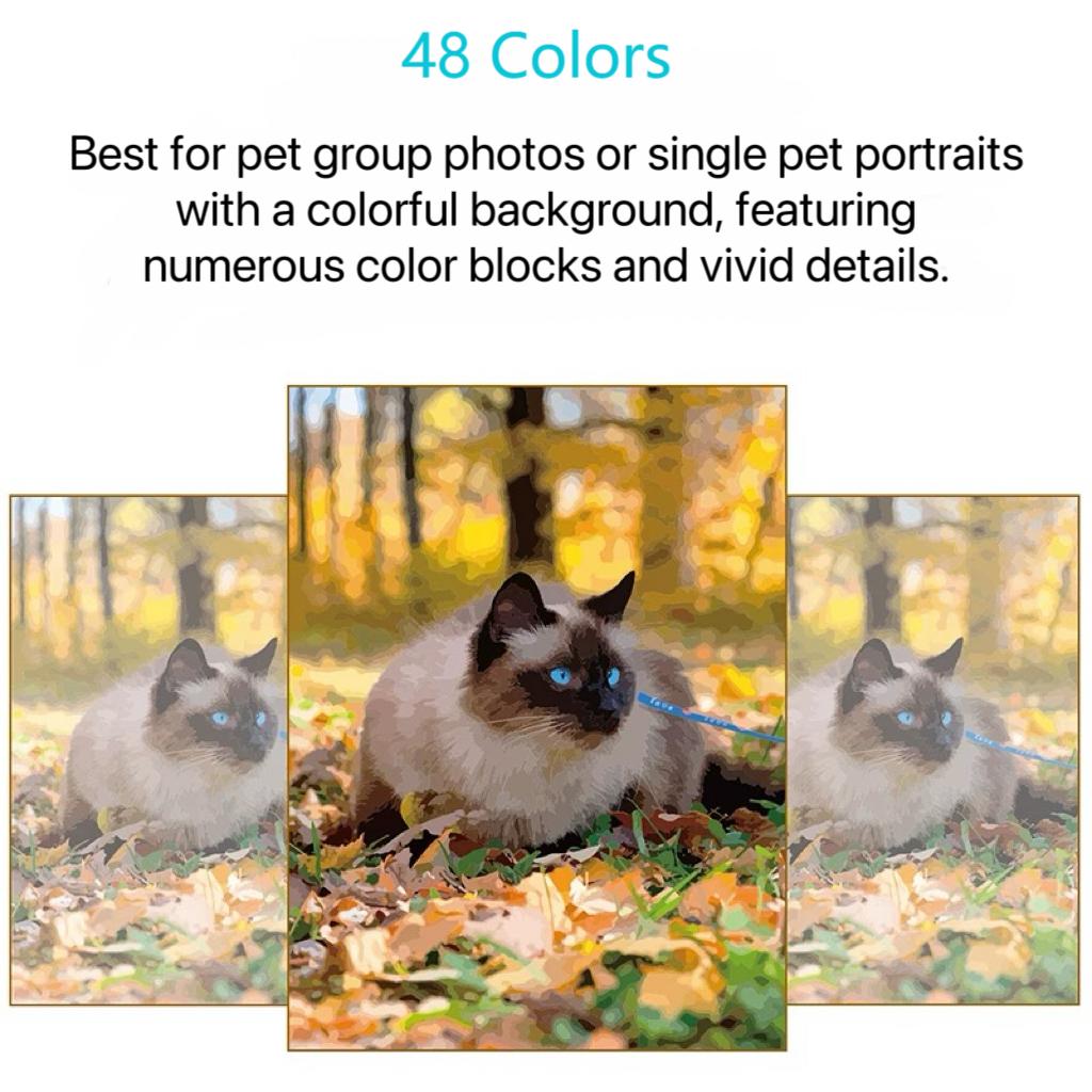 48 Colors Paint By Number Kit Painting